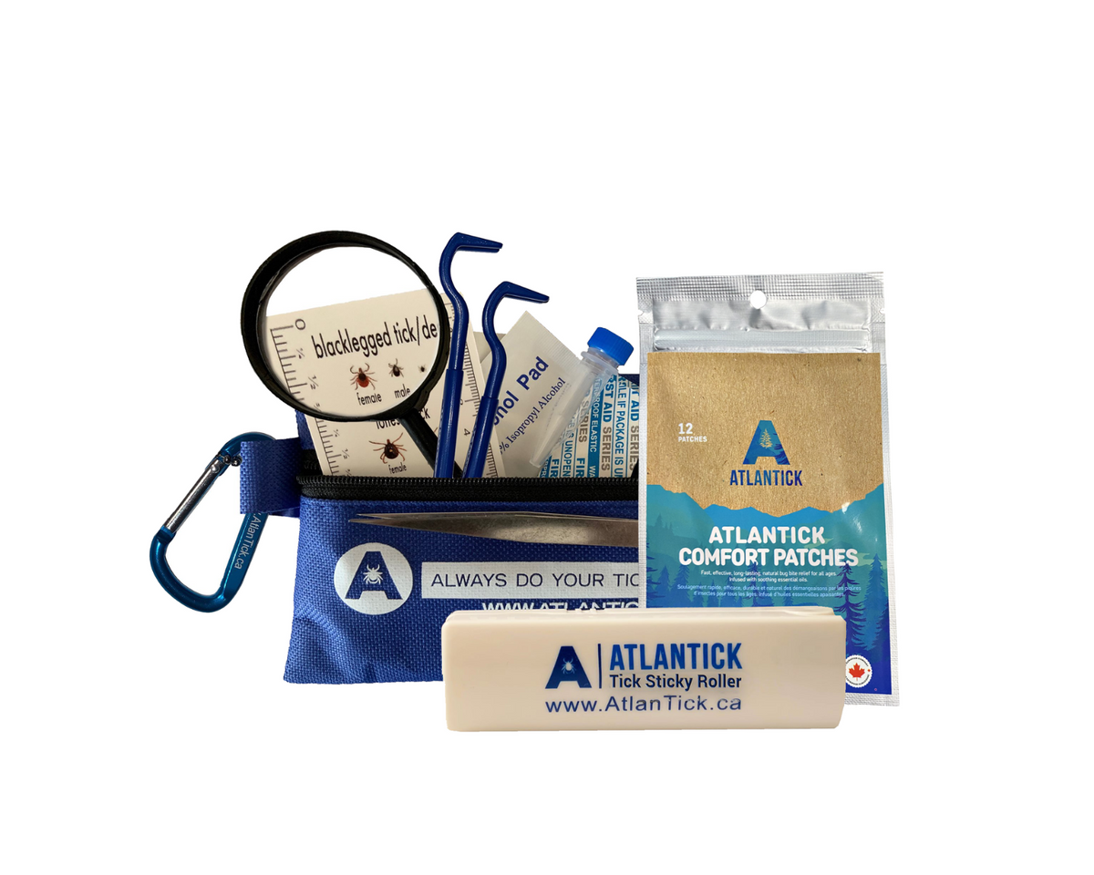 AtlanTick® Lava Bead Bracelet Ticklets: Red or Blue – AtlanTick