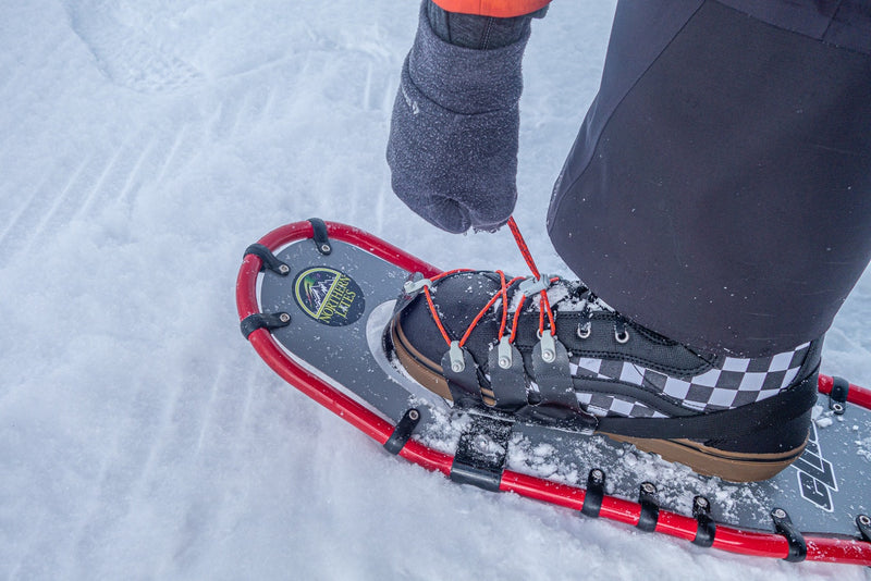 Snowshoes with boa bindings