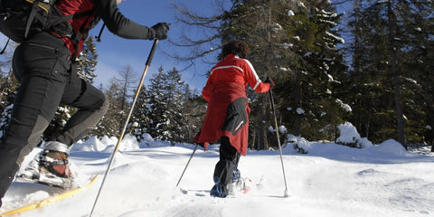 Snowshoes - Northern Lites - Snowshoeing