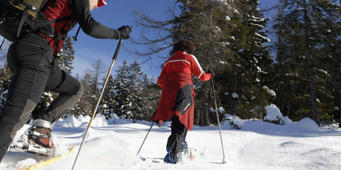 Snowshoes - Northern Lites - Snowshoeing