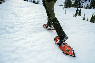 snowshoes - northern lites - snowshoe races