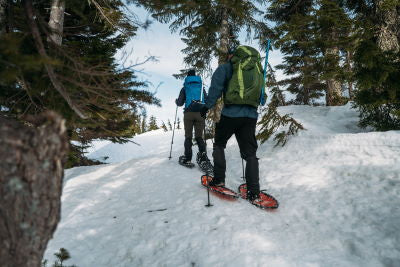 snowshoes - northern lites - world association