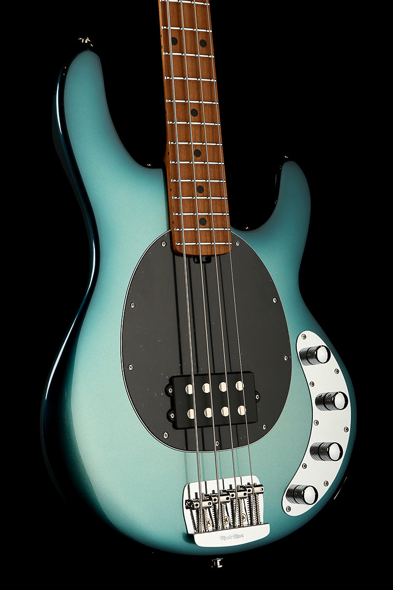 ernie ball bass