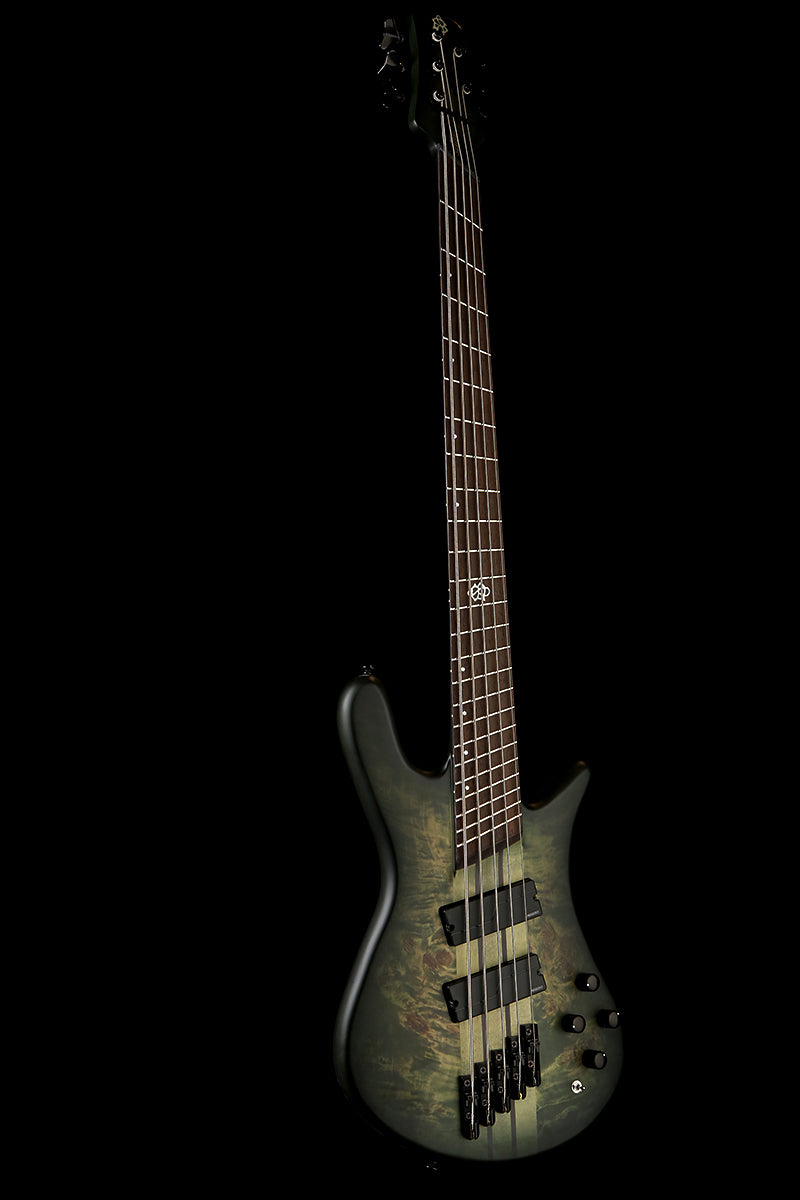 ibanez s5528lw