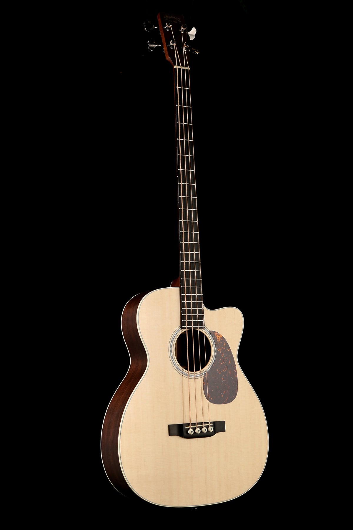 the best acoustic bass guitar