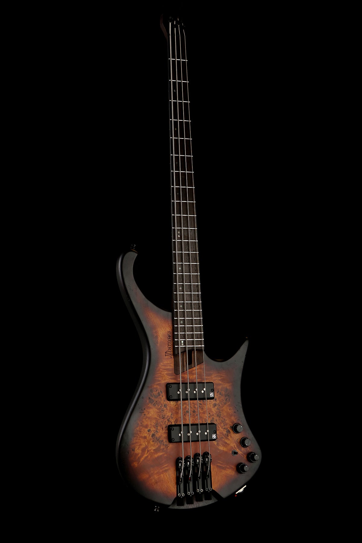 ibanez 245