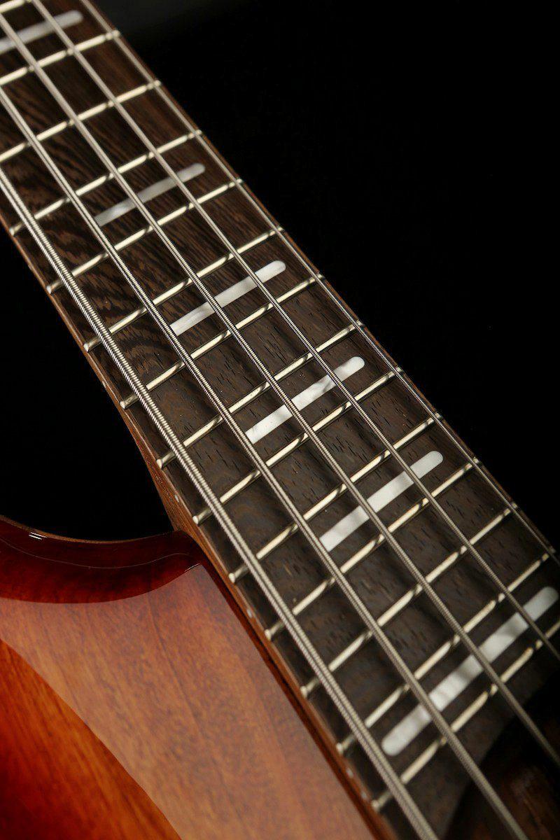 ibanez multiscale acoustic