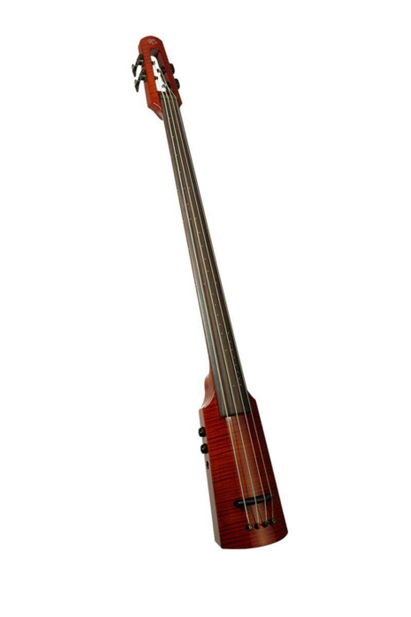 electric double bass