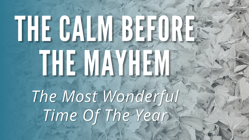 Blog Post: The Calm Before The Mayhem (The Most Wonderful Time Of The Year)