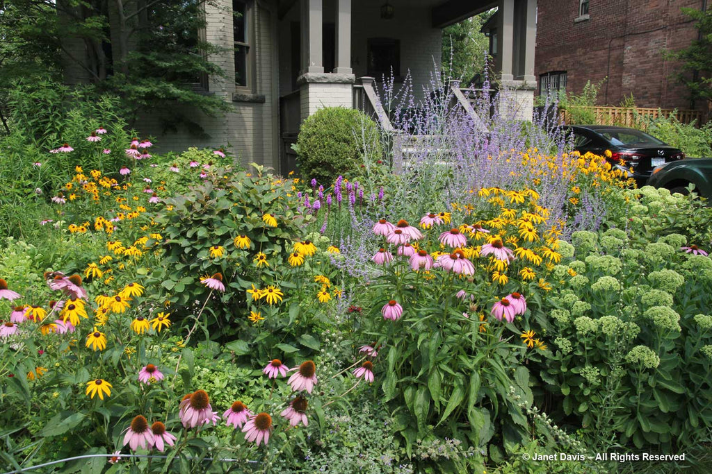 pollinator garden bees