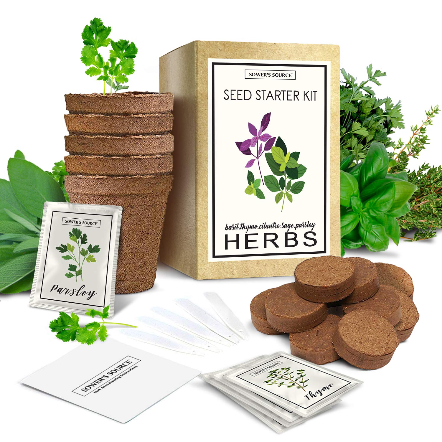 Indoor Herb Garden Starter Kit Organic Non Gmo Seed Packets