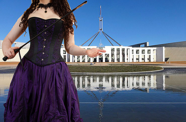 Putting the vulva to parliament