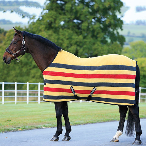 Horse rugs as dog beds