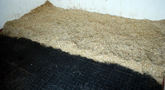 Horse Stable with Shavings