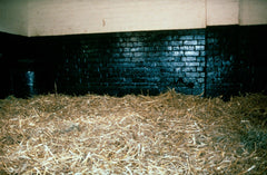 Horse Stable with Straw