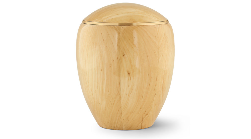 Ardour Cremation Urns for Ashes 