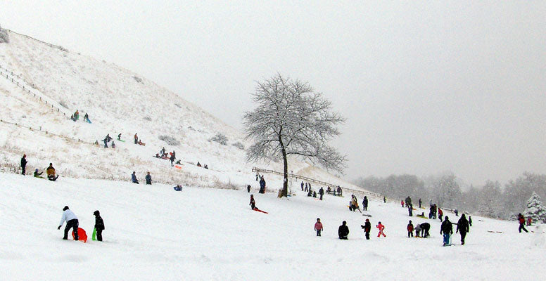 Community Sledding