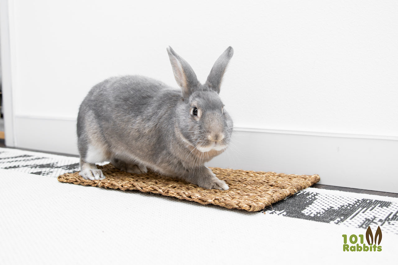 Large Double Weave Grass Mats 101rabbits