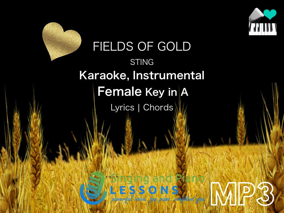 0 Fields of Gold Sting Karaoke Instrumental in Female Key/ Baritone for Males