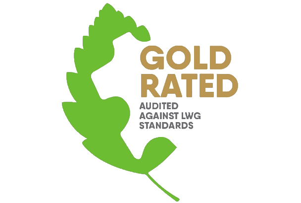 logo gold ota
