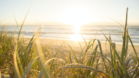 Sunrise or sunset at the beach