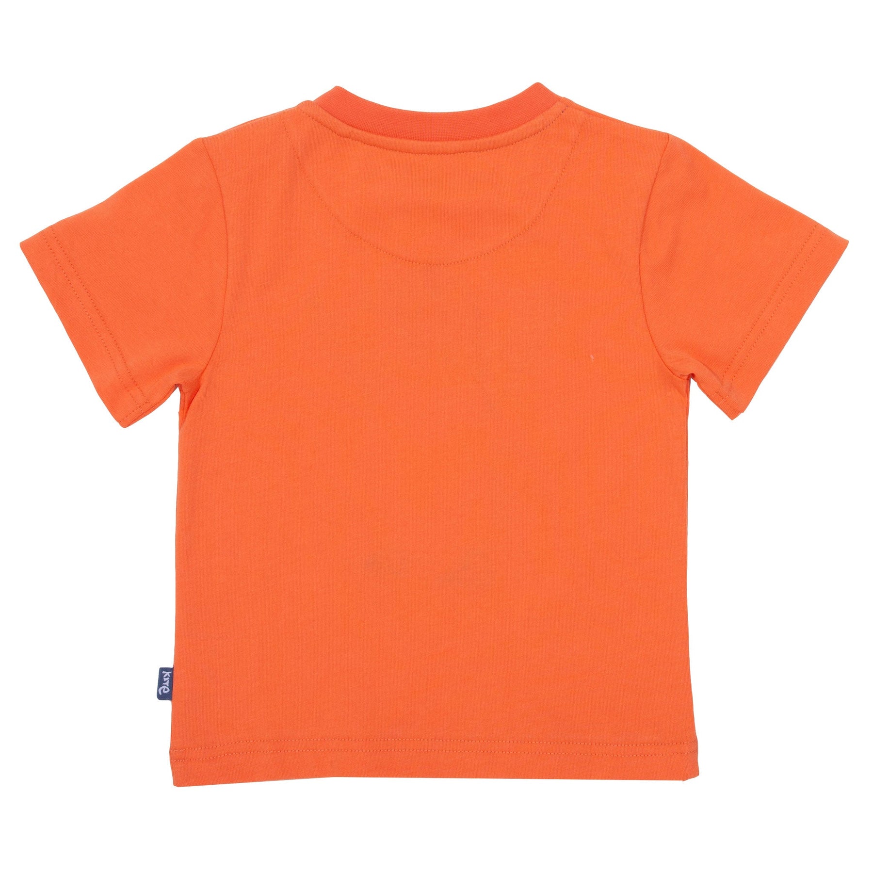 Boys Tops & T-Shirts | Organic Kids Clothes | Kite Clothing