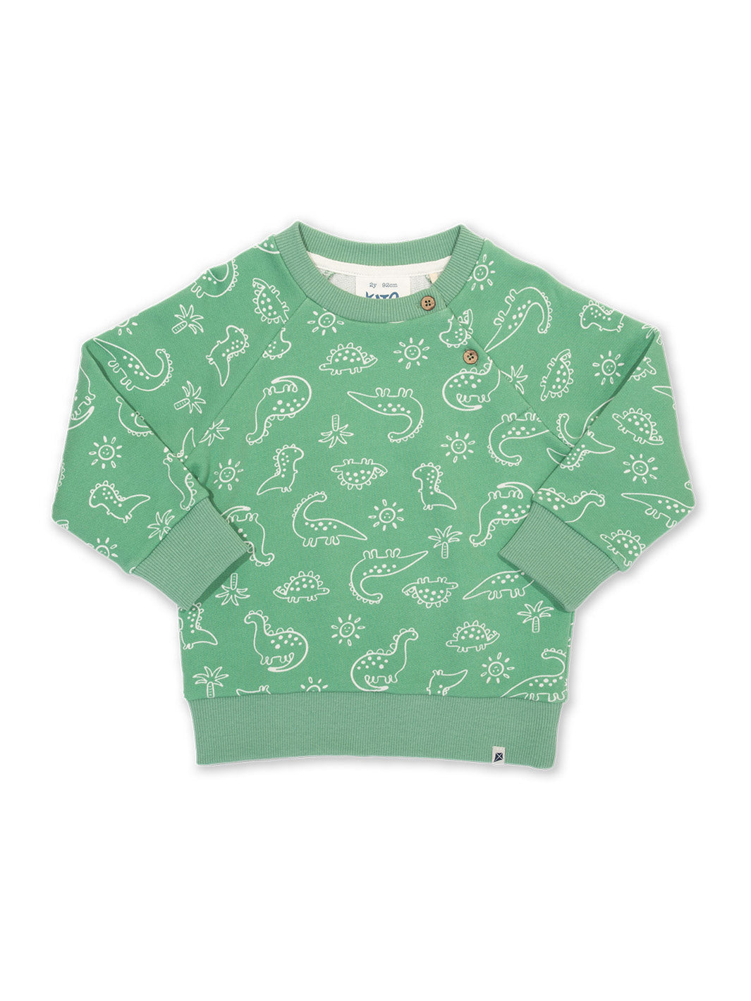 Dino earth sweatshirt