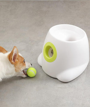 dog toy ball launcher