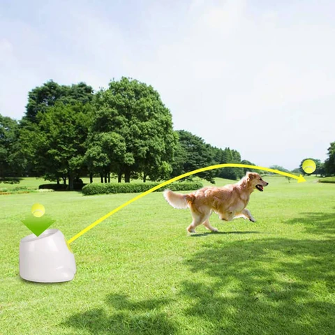 automatic ball launcher for dogs