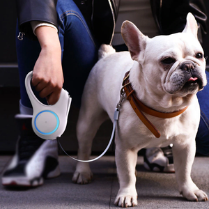 retractable dog leash with light