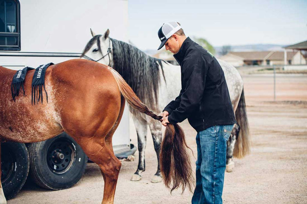 8 Tips For Properly Braiding Your Horses Tail