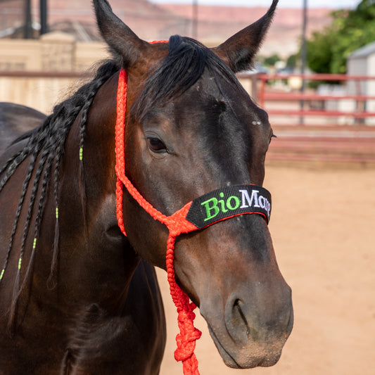 BioMane Tailbag - Protect Your Horse's Tail –