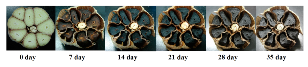 Black garlic is made by garlic that has been fermented under high heat & humidity and takes weeks.