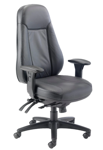 Cheetah Ergonomic Office Chair