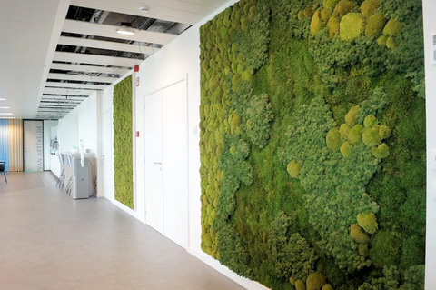 Moss Wall