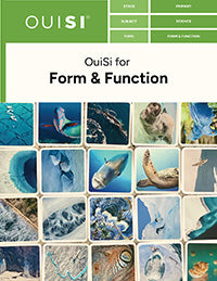 OuiSi-Primary-Science-Form-and-Function_Page-thumb-comp