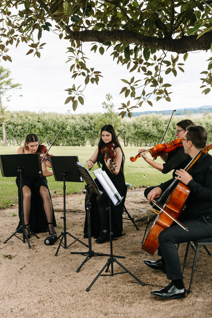 String quartet entertain guests at hunter valley wedding ceremony