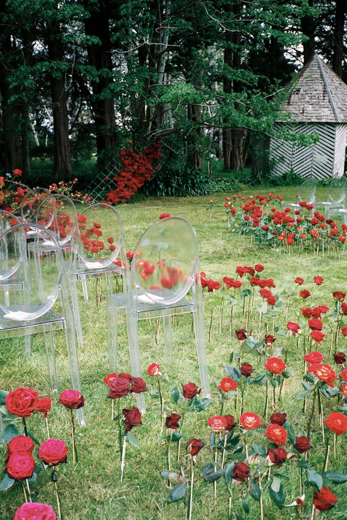 Garden decorated by single stem red roses sticking up right out of the ground 