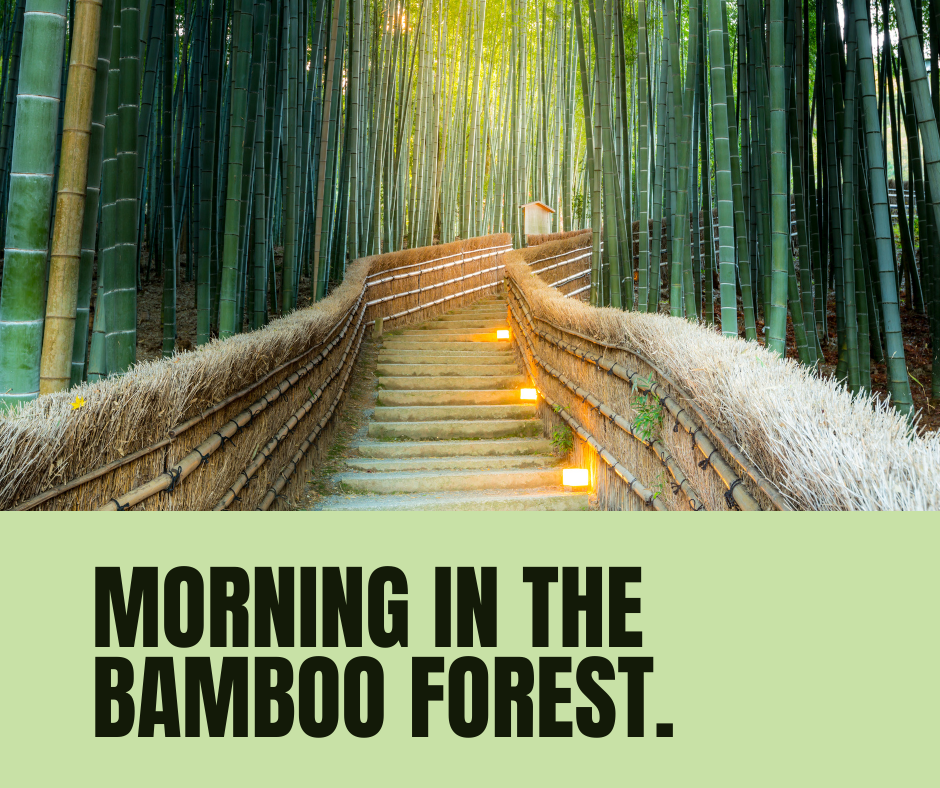 Embrace the Softness: The Unique Comfort of Bamboo Clothing – Spun Bamboo