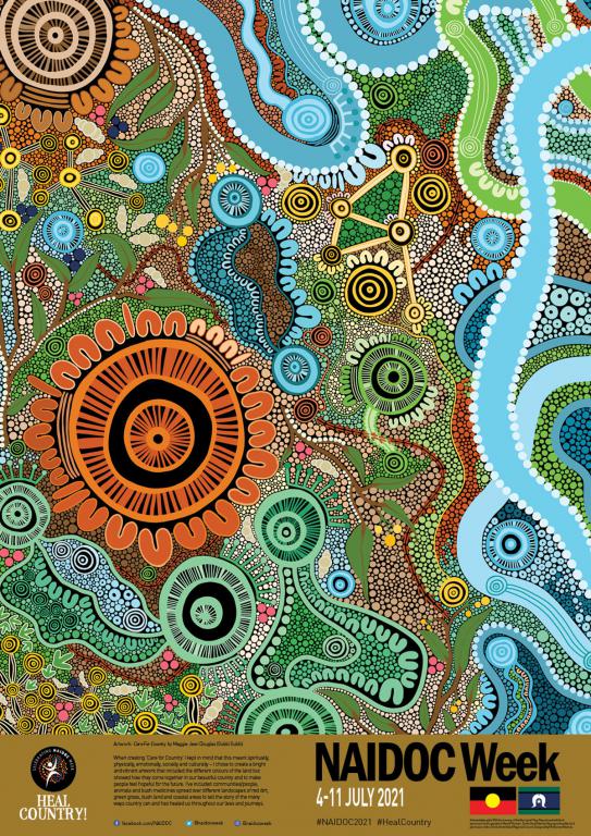 Artwork: Care For Country by Maggie-Jean Douglas (Gubbi Gubbi)