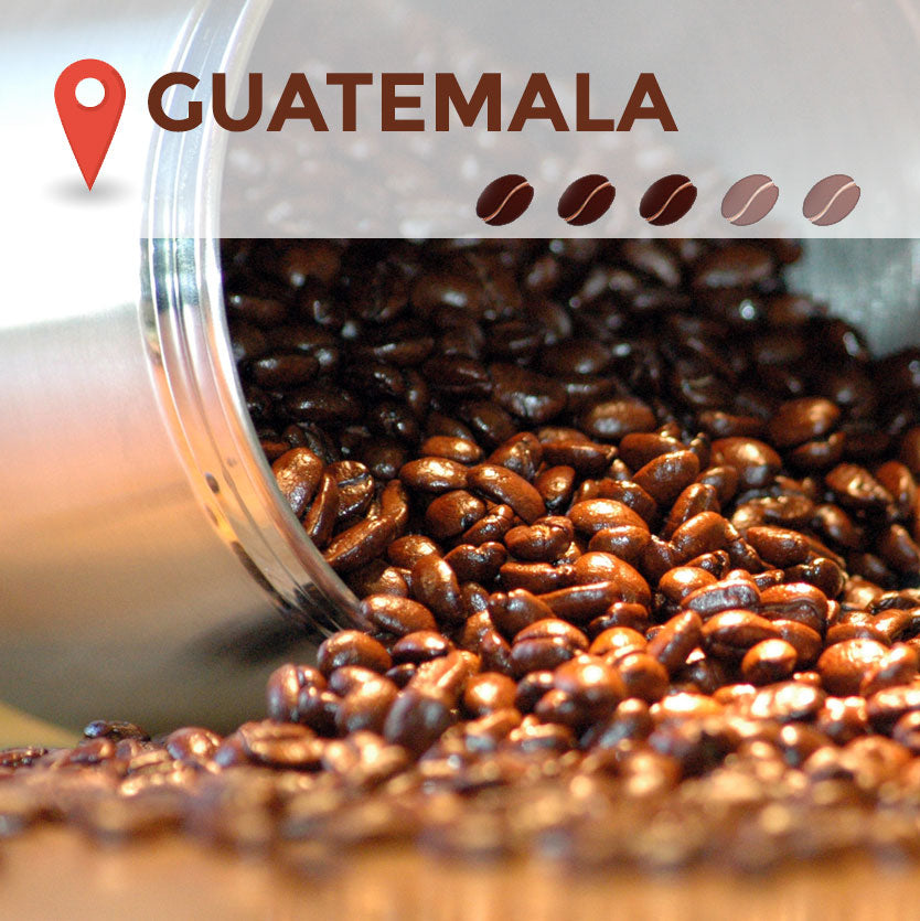 guatemala coffee beans