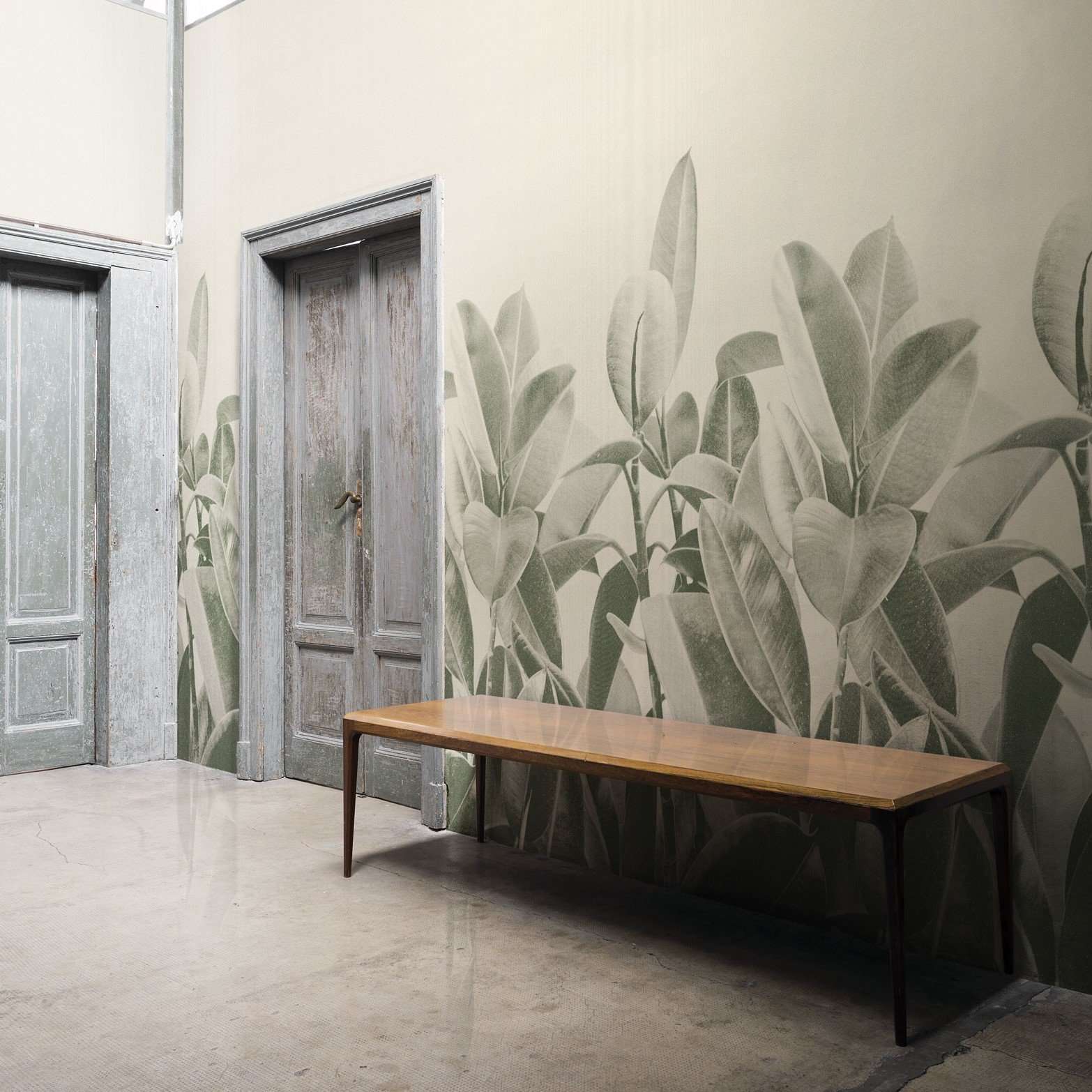 uitvegen Commandant incompleet Rubber Plant behang van LondonArt wallpaper – Selected Wallpapers