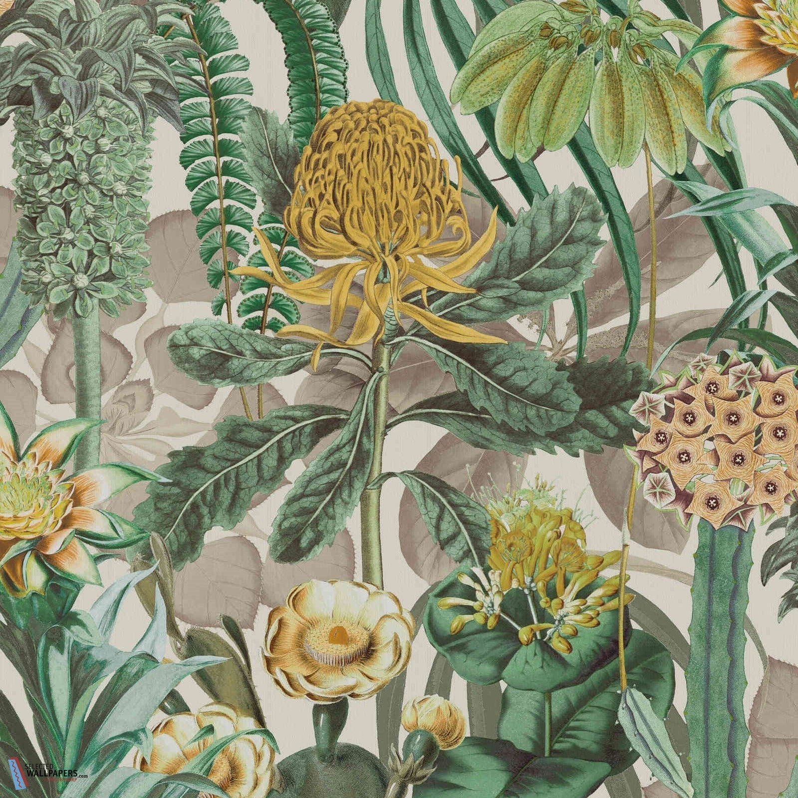 The Botanist wallpaper Arte | Wallpaper The Botanist BOP601 – Selected