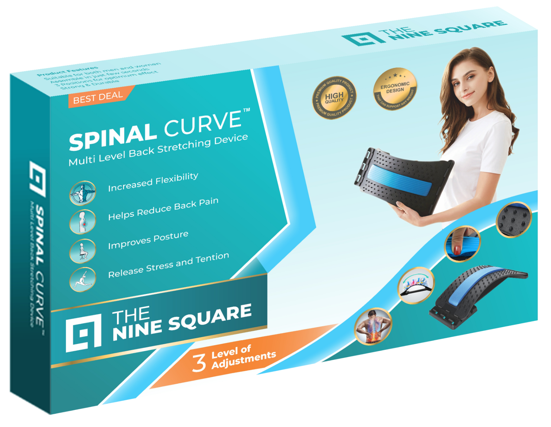 Spinal Curve