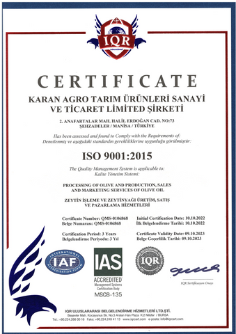 ISO 9001