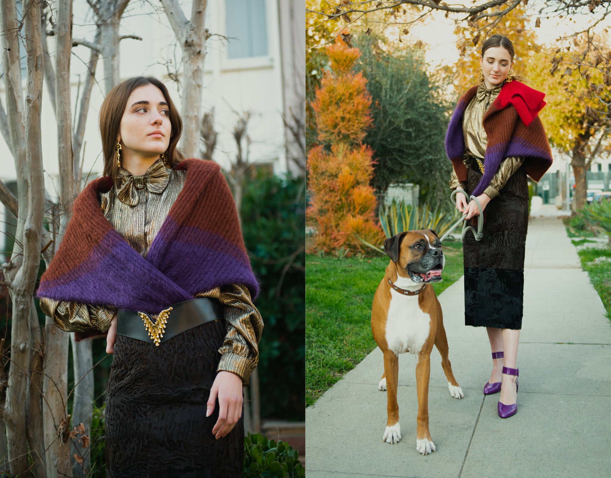 Girl in gold Jacques Molko blouse and Fendi Persian Lamb Skirt by tree with boxer dog