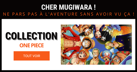 collection one piece