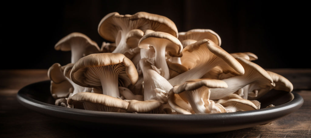 Hongos de ostras en un plato largo