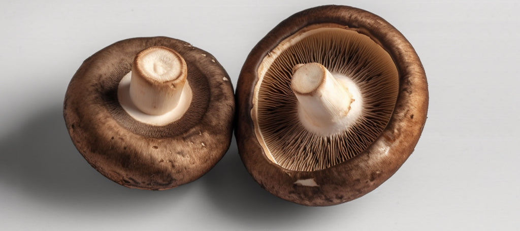 Portobello Mushrooms