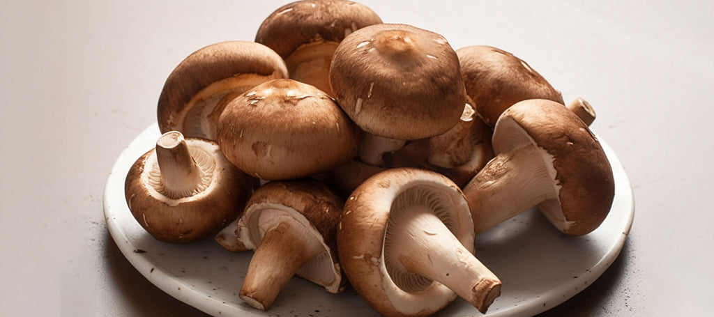 Champignons shiitake